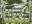  K A A M A ⋅ Architektonický ateliér ⋅ Ing. Arch. Karel Mrázek