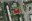  K A A M A ⋅ Architektonický ateliér ⋅ Ing. Arch. Karel Mrázek