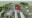 K A A M A ⋅ Architektonický ateliér ⋅ Ing. Arch. Karel Mrázek