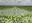 K A A M A ⋅ Architektonický ateliér ⋅ Ing. Arch. Karel Mrázek