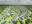 K A A M A ⋅ Architektonický ateliér ⋅ Ing. Arch. Karel Mrázek
