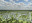 K A A M A ⋅ Architektonický ateliér ⋅ Ing. Arch. Karel Mrázek